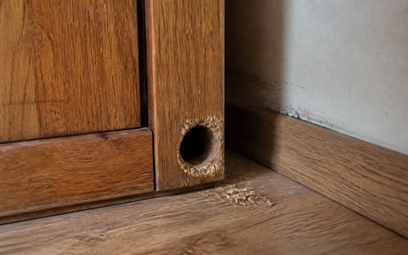 Rodent damage in a structure
