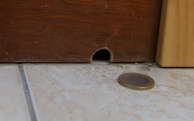 Hole gnawed by a mouse in the back of a kitchen cabinet